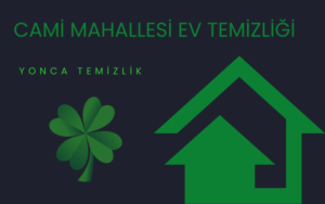 Cami Mahallesi Ev Temizliği